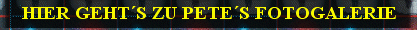 olli b goode102.gif